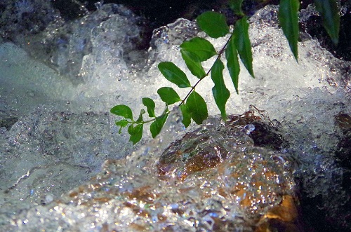 在線水質(zhì)檢測(cè)儀使用方法.jpg 在線水質(zhì)檢測(cè)儀使用方法.jpg